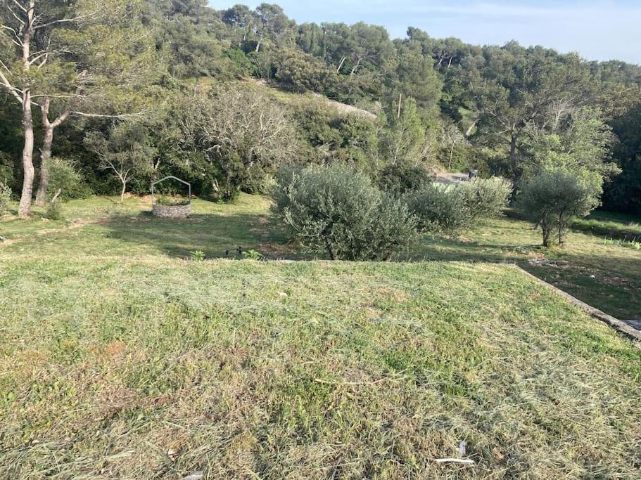 Villa Magnifique De Luxe Au Coeur De La Garrigue *